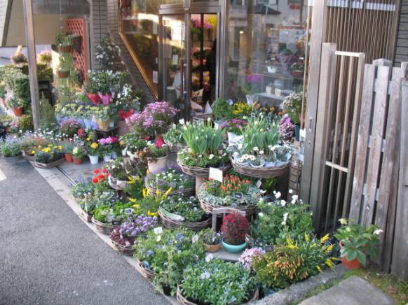 神奈川県鎌倉市の花屋 ケン フロリストにフラワーギフトはお任せください 当店は 安心と信頼の花キューピット加盟店です 花キューピットタウン